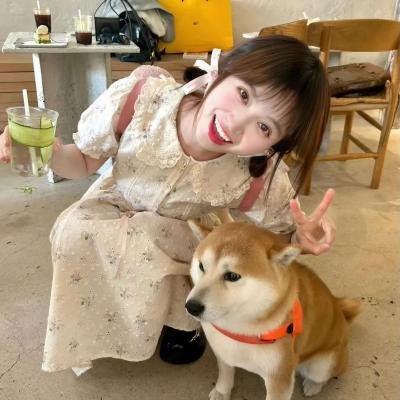 梦想夏乡
